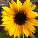 Sally Slack - @sallydawnslack - Twitter