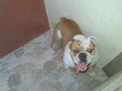 elimayru's profile picture. 