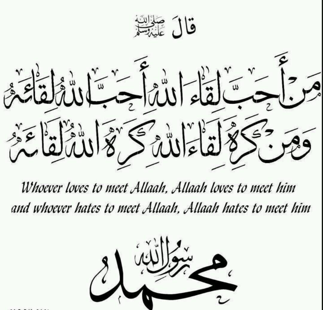 اليمن اولا