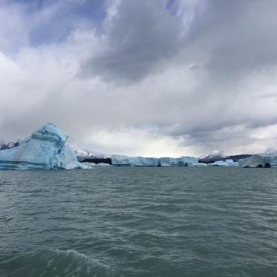 IBC1's profile picture. Geriatría