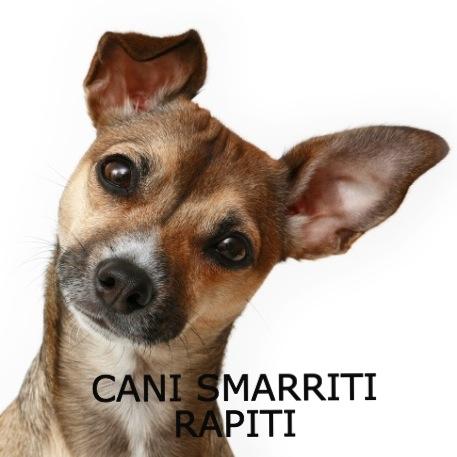 canismarriti's profile picture. Questo profilo nasce con l'unico scopo di diffondere notizie e fotografie di cani smarriti, persi, rapiti. Inviateci tutte le vostre segnalazioni.