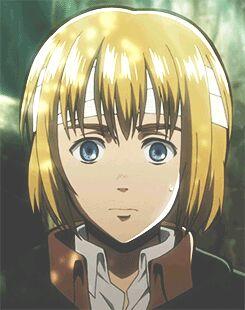 The Babe of Books, call me Gay but books are life, I'm just a happy book worm hehe #Bisexual *Happy Armin noises*