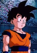 I'm Gohan, the 16 year old son of Chi-Chi and Goku! Don't underestimate my power or make me angry!