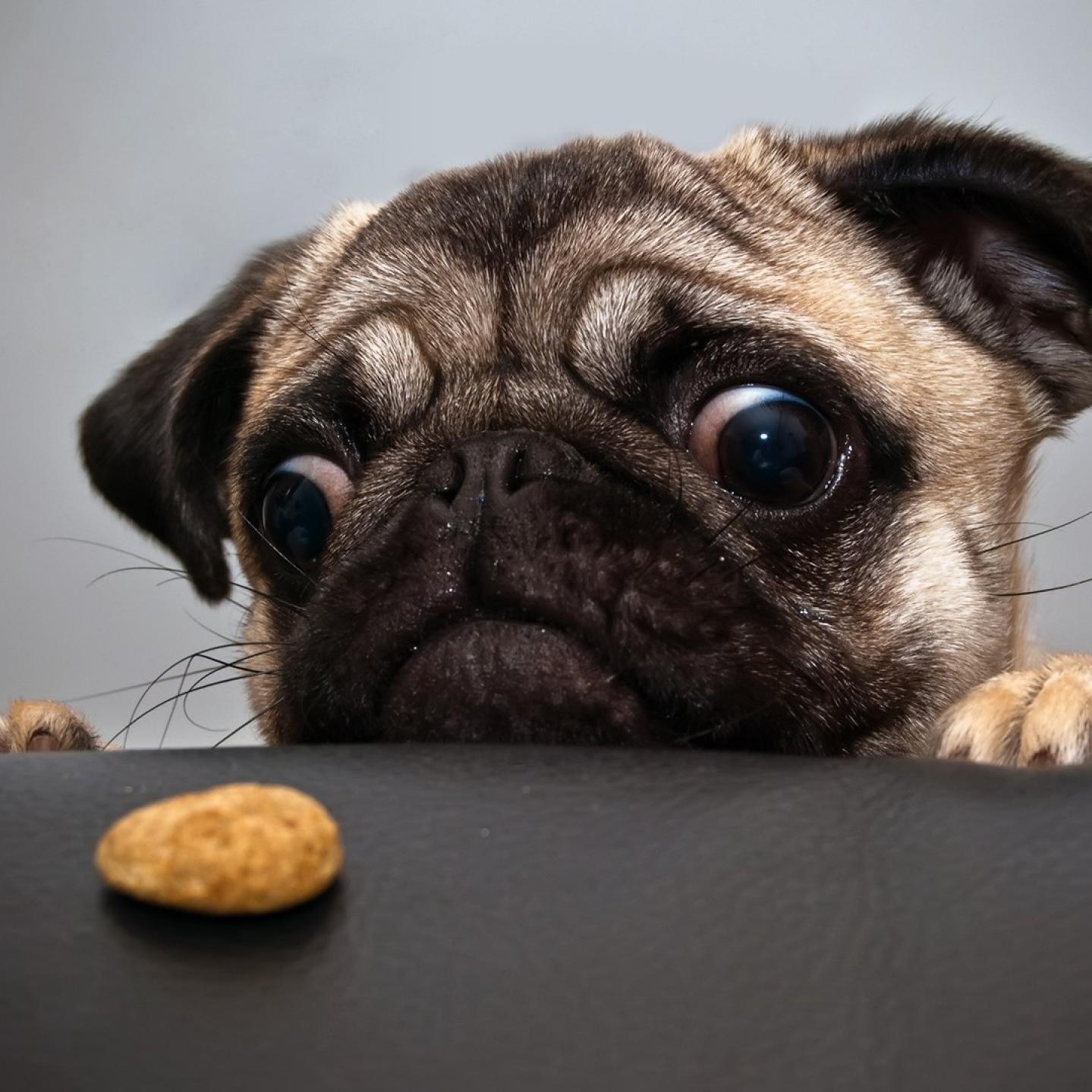 DesktopWallpaHD's profile picture. Perfect High Definition HD Wallpapers Redefined to make your Screen Look Better!