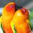 LoveBirdsPost's profile image