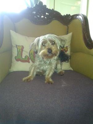 b99436b89f08499's profile picture. 