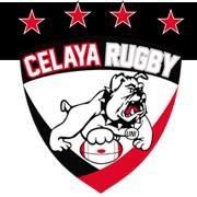 #soybulldog
