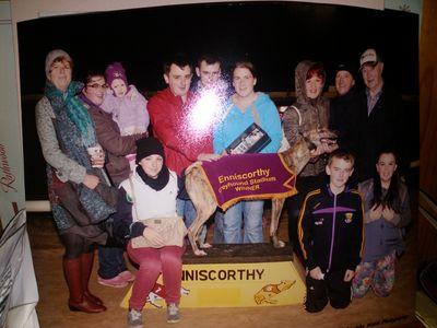 Greyhound mad like a gamble