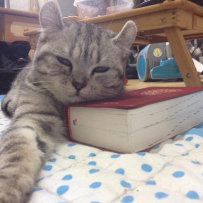 St_Rookey's profile picture. 섹시하다. 정말 이다.