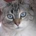 Chester 🐎🐈🐕🇺🇸 (@chester127113) Twitter profile photo Chester 🐎🐈🐕🇺🇸 (@chester127113) Twitter profile photo