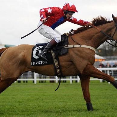 Enrol in this betting service and make a profit on The National Hunt season. This season totally free 2014/15. What've got to lose?