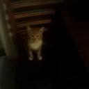 Lily Stover- Cajgas - @cajgas - Twitter