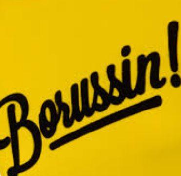 Borussia Dortmund|Kid Ink |Rihanna| Nuri Sahin| Marco Reus| Erik Durm| Fitness......bin Fußball verrückt, nur der BVB!