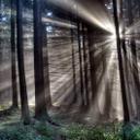 Isabella Vance - @isabellavance22 - Twitter