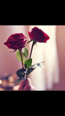 Gh68317229's profile picture. 