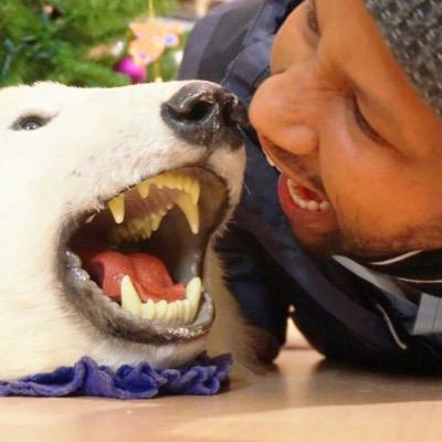 hamidtokar's profile picture. 