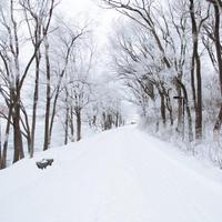 Recite Hall (@recitalhall) 's Twitter Profile