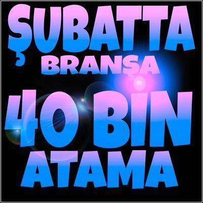 brannsa40binn's profile picture. 