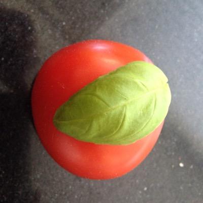 vegetarian from the world of EDM