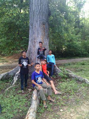 Dimasajja32Ajja's profile picture. cepu