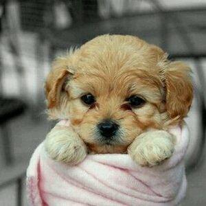 edujneb's profile picture. 