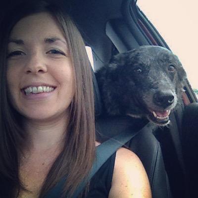 shellydknight's profile picture. 