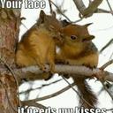 Debra Bean - @sultryangeltoo - Twitter