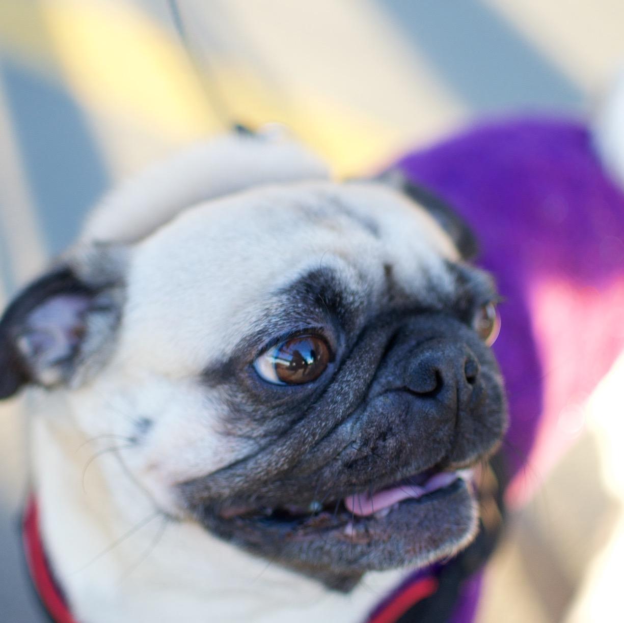 facesofedmonton's profile picture. I talk to strangers until they're not strangers anymore. Sometimes they let me photograph them. http://t.co/2dmIomGjvH
http://t.co/XwbGZZZ6IP