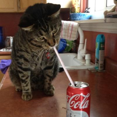 His Royal Highness the Majesty. @CocaCola Addict. Supreme Authority. Middle Child. Mumma's Feline.