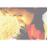 __________QL's profile image
