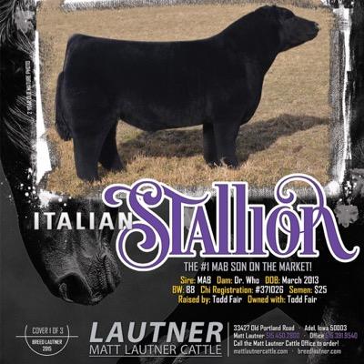 FluffyCowzz's profile picture. Winner Of RHD's Best Of The Barns Award For Best Anonymous Twitter Account & Best New Trend #FluffyCows | Focused On The Show Cattle Industry 515.391.9540