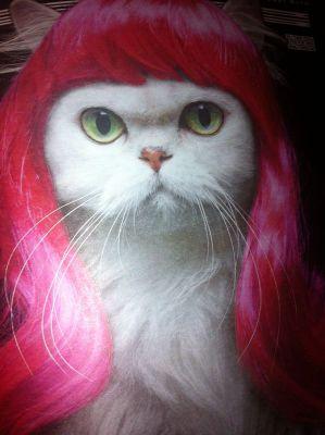 sandymay25's profile picture. Do what makes you happy