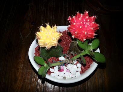 luck2500's profile picture. 