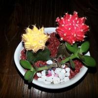 써니 (@luck2500) 's Twitter Profile Photo