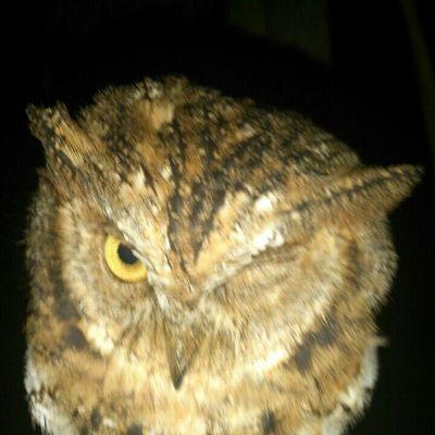 f8f8fcdd5463480's profile picture. 