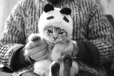 Siga-me sigo todos de volta :)