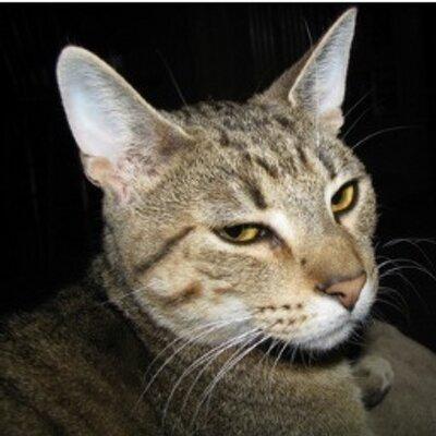 jolantasV's profile picture. Former IT professional.