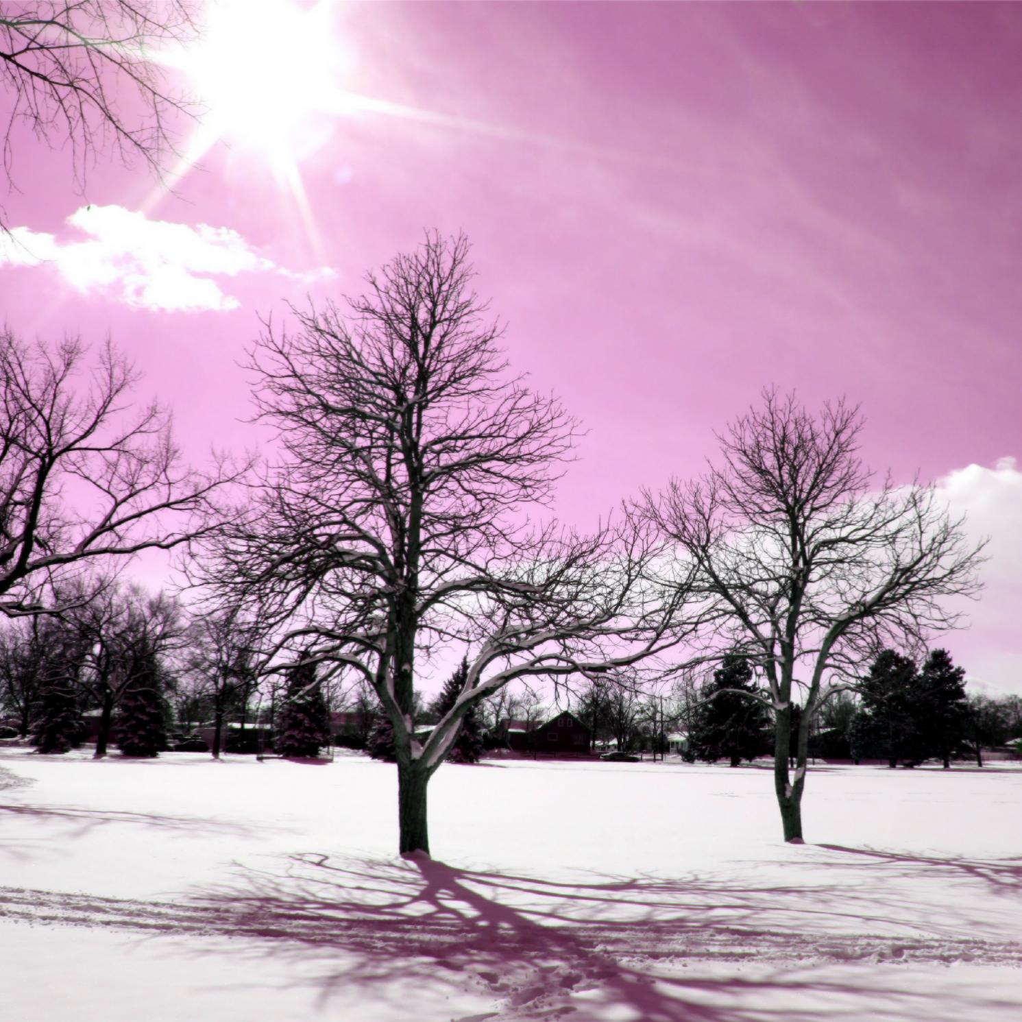 RadioHeights's profile picture. Producer/Performer  Birmingham, AL // contact for booking