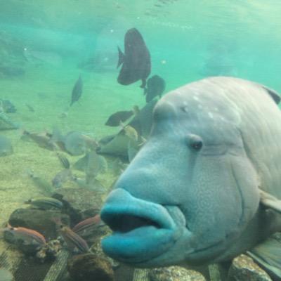 h__y1005's profile picture. モンストアカウント