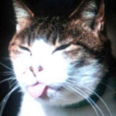 RavenTheSupacat's profile picture. Twitter.. I'm a drawing person, and a professional geek. I also stream on weekends or whenever. https://t.co/0AZZtZll92