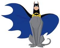 Ace the Bathound I'm batman's partner,single,male,straight,and, i'm 22 years old,best friend: @mr_krypto