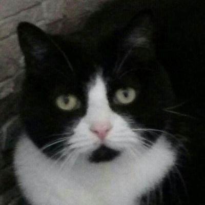 jolaplante77's profile picture. 