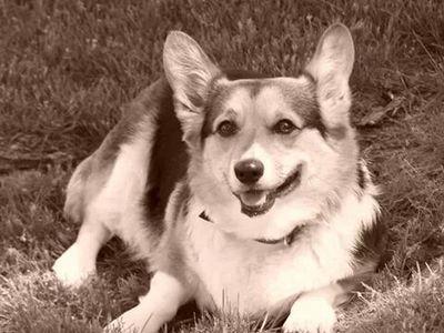 gandsray's profile picture. 