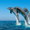 Janet Phetterplace - @JanetPhetterpla - Twitter