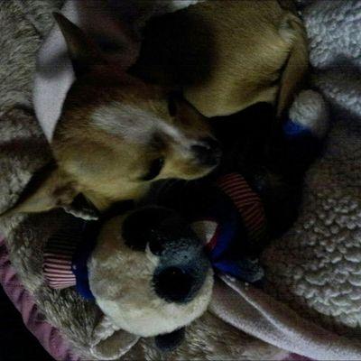 MariaSening's profile picture. 