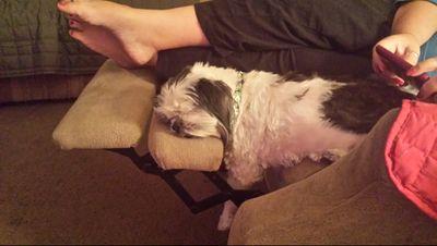 ConnahaMc's profile picture. 