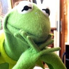 ScoopsNY's profile picture. 