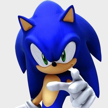 my name is Sonic the Hedgehog. aka the blue blur. best bud is Tails and chilly dogs are awesome