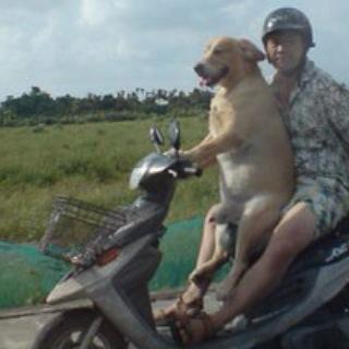 Things that are funny are good. I'm surprisingly grammatically correct for a guy that uses a dog with an erection on a scooter to represent him on the internet.