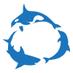Ocean Advocate News (@oceanadvocatefl) Twitter profile photo Ocean Advocate News (@oceanadvocatefl) Twitter profile photo